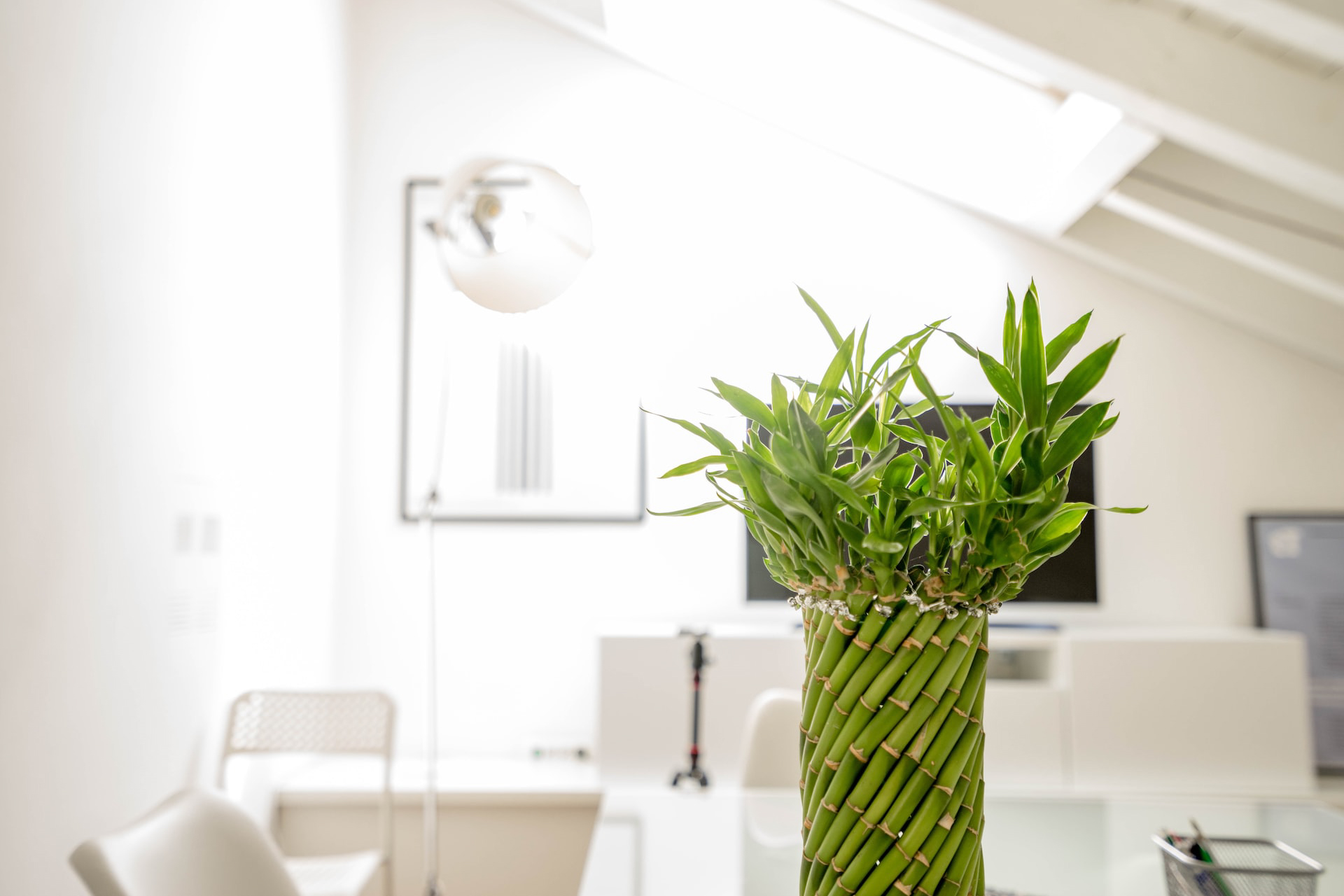 Billede af et lyst rum med planter af Riccardo Pelati fra Unsplash